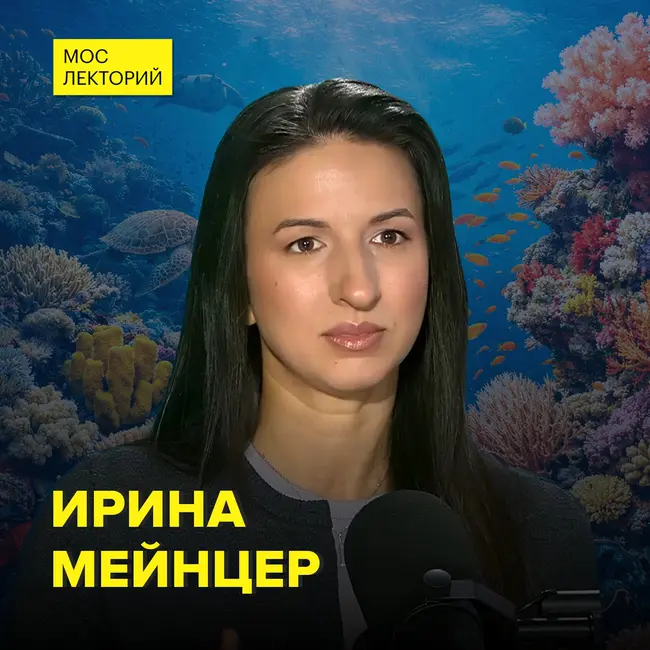 Как устроены коралловые рифы? - морской биолог Ирина Мейнцер