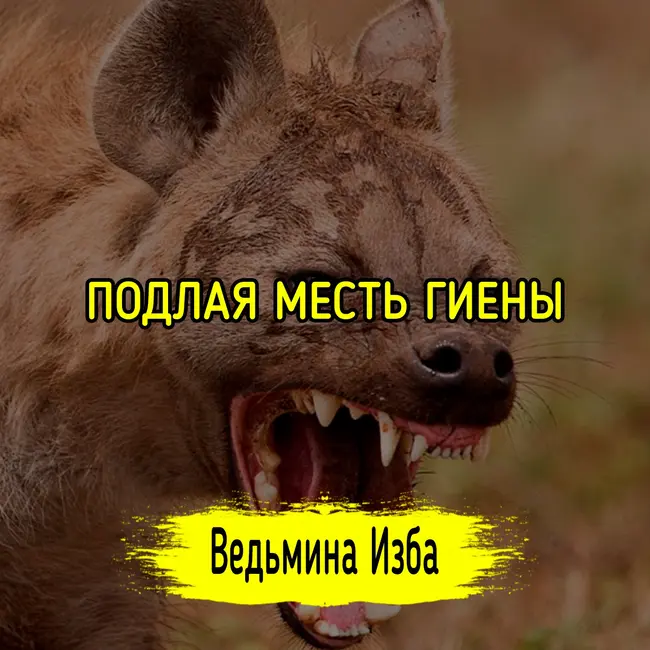 ПОДЛАЯ МЕСТЬ ГИЕНЫ. #ВЕДЬМИНАИЗБА ▶️ #МАГИЯ