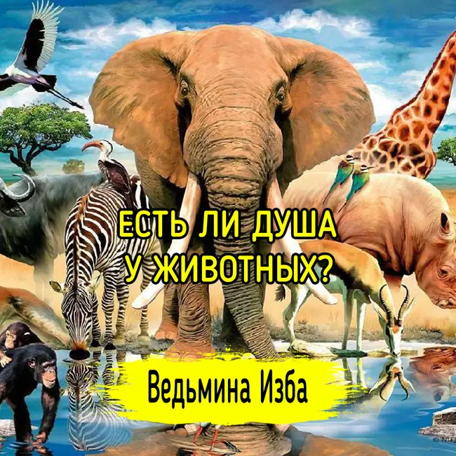 ЕСТЬ ЛИ ДУША У ЖИВОТНЫХ? ВЕДЬМИНА ИЗБА ▶️ ИНГА ХОСРОЕВА