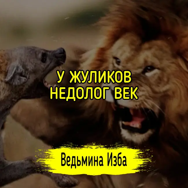 У ЖУЛИКОВ НЕДОЛОГ ВЕК. #ВЕДЬМИНАИЗБА ▶️ #МАГИЯ