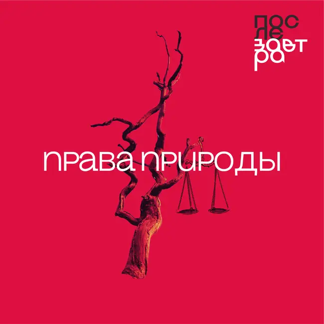 Права природы: существуют ли они и кто их защищает?