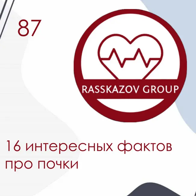 16 интересных фактов про почки. / Rasskazov Group