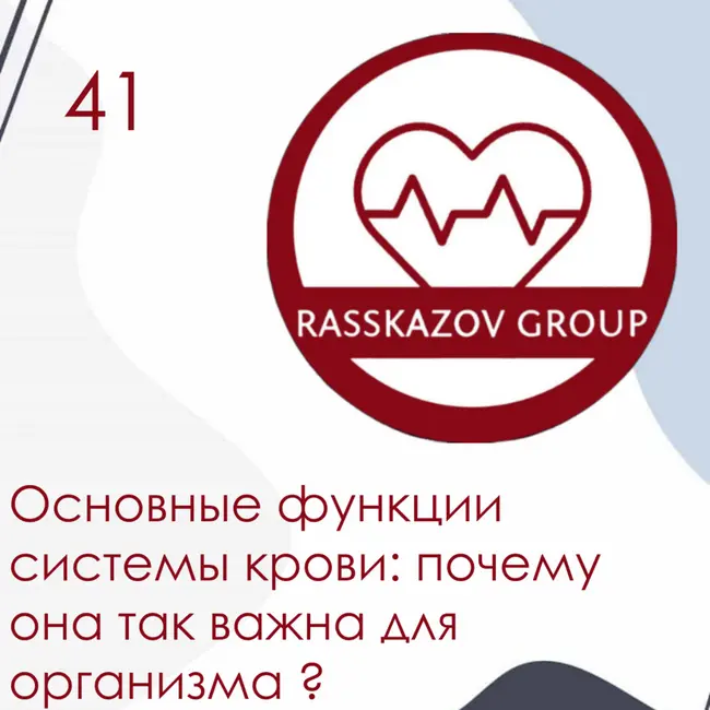 Основные функции системы крови: почему она так важна для организма? / Rasskazov Group