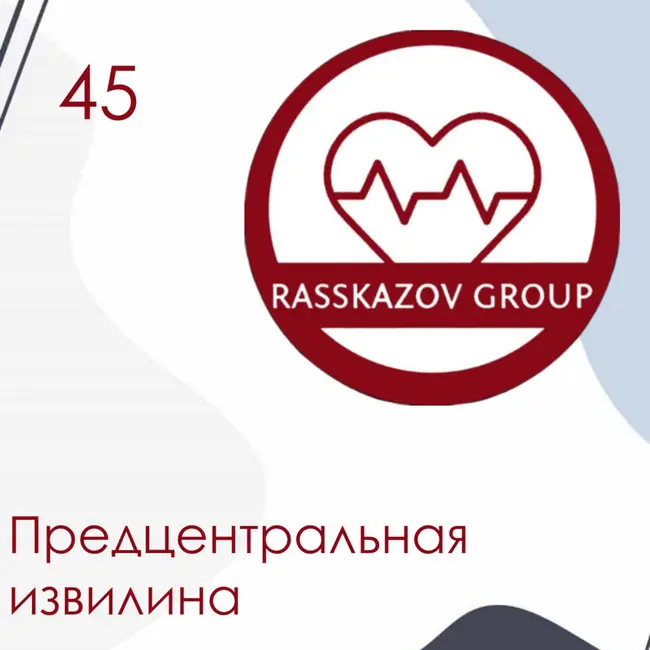 Предцентральная извилина. / Rasskazov Group