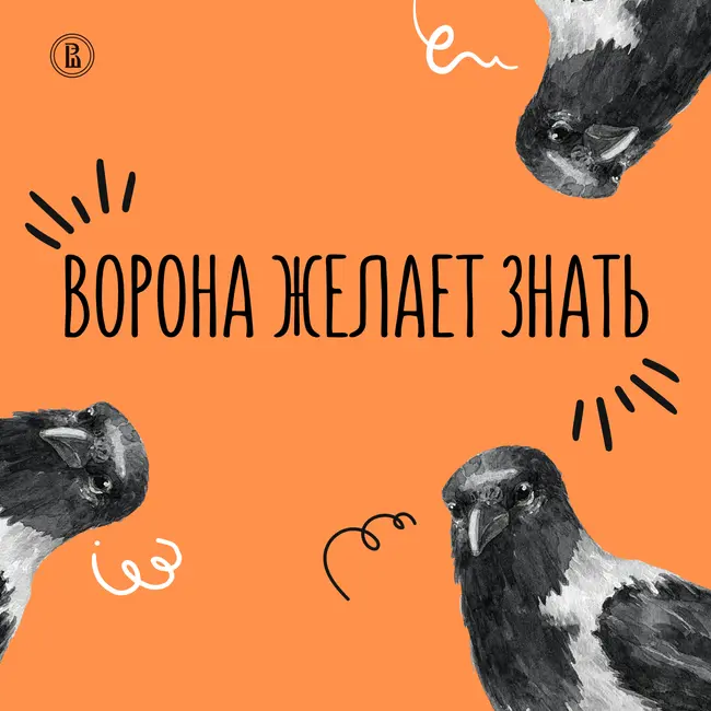 Синдром FOMO: как соцсети влияют на нашу самооценку