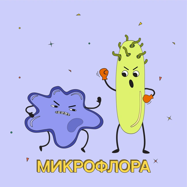 Анатомия еды: как устроена микрофлора кишечника? / Дмитрий Алексеев, кандидат биологических наук