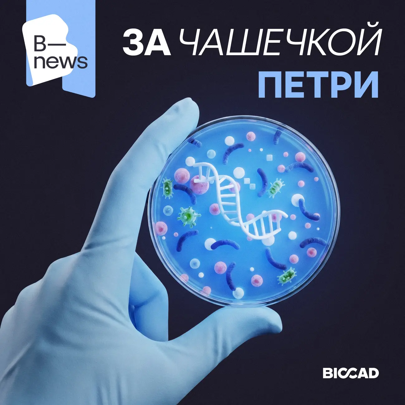 За чашечкой Петри