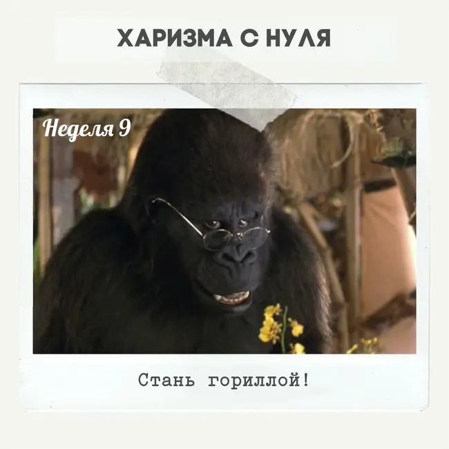 Неделя 9 - Стань гориллой!