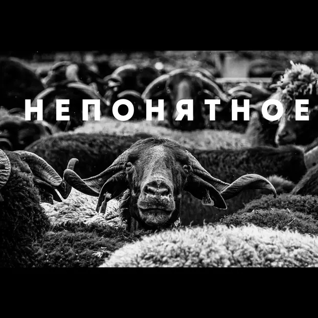 Непонятное. CHILL от 11.04.25.