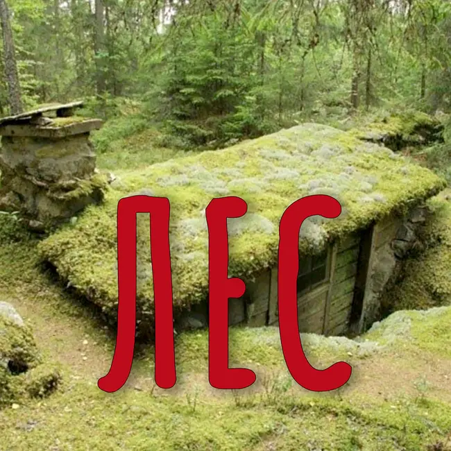 Лес