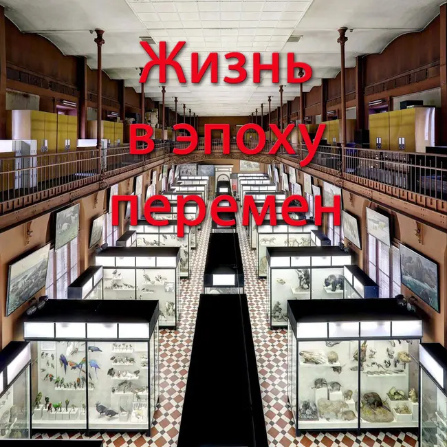 Жизнь в эпоху перемен