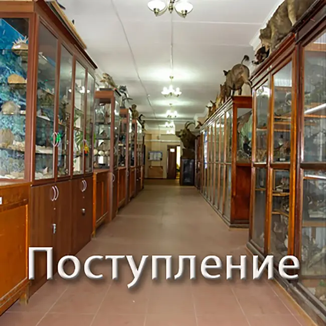 Поступление