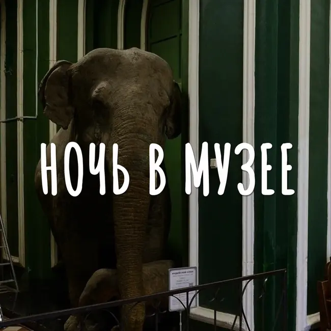Ночь в Музее