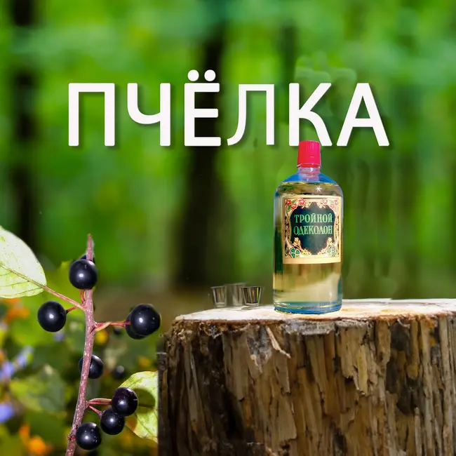 Пчёлка