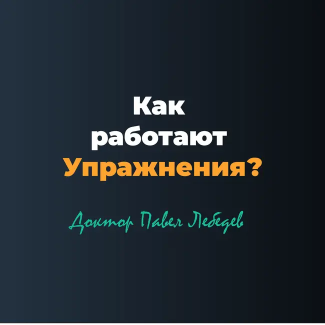 Как работают упражнения? Физиология движения без мифов