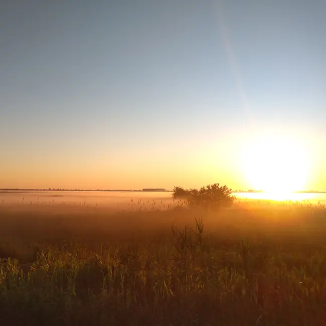 Шаманский бубен. Аромат Поталы. Бонус выпуск