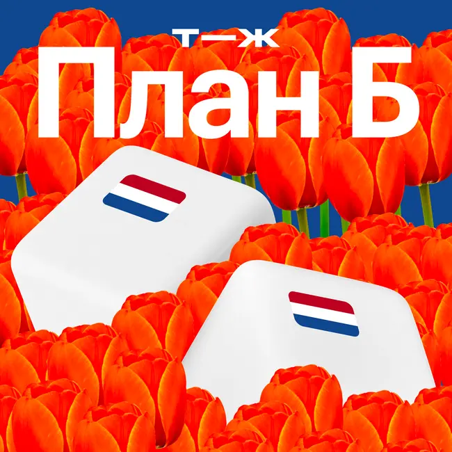 Нидерланды: здесь придумали налоги на все. Наталья Ремиш