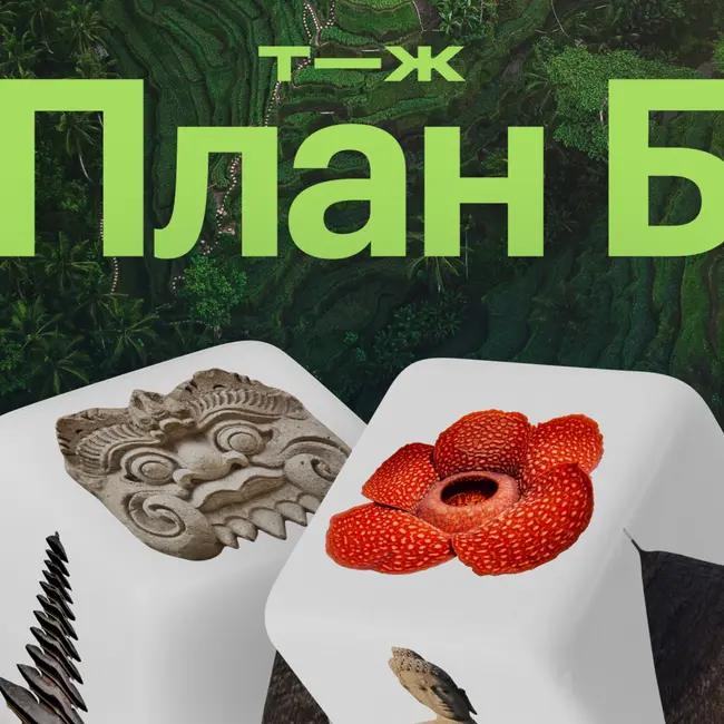 Индонезия: почему Бали — безумная московская дача