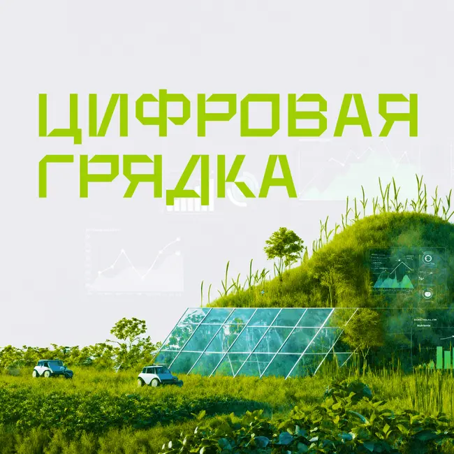 Metadоor Invest: Финансовое планирование как навык принятия решений