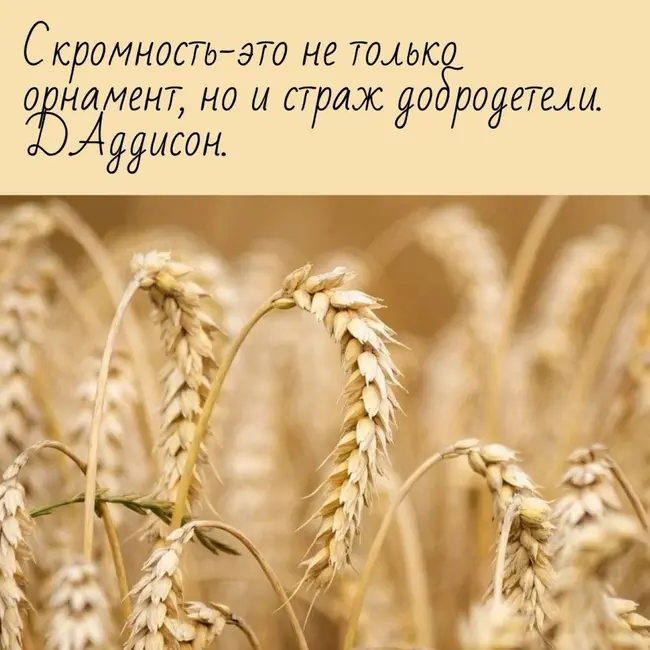 Скромность. Страж добродетели или преграда к улучшению качества жизни!