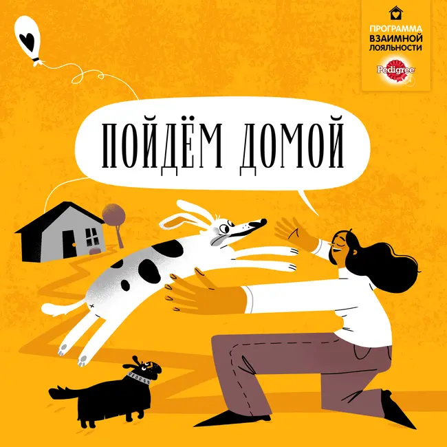 Часть вторая. Как собака из приюта привыкает к новому дому