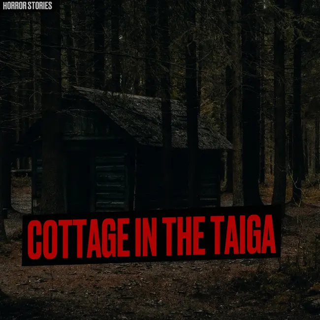 A cottage in the Taiga. They wanted to relax, but they became the heroes of the SNUFF Video.
