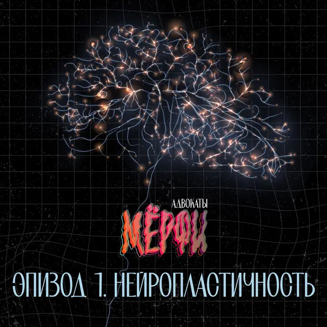 №1. Нейропластичность