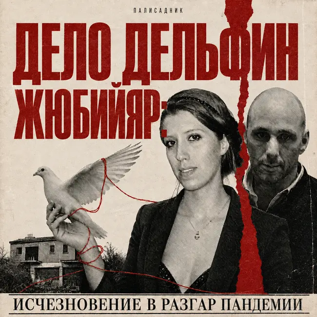 Дело Дельфин Жубийяр: исчезновение в разгар пандемии