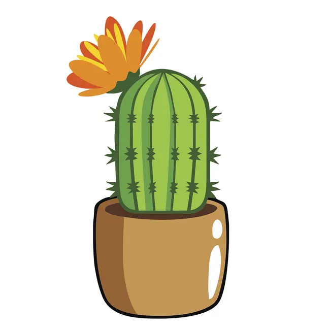 Кактус - Выпуск №137