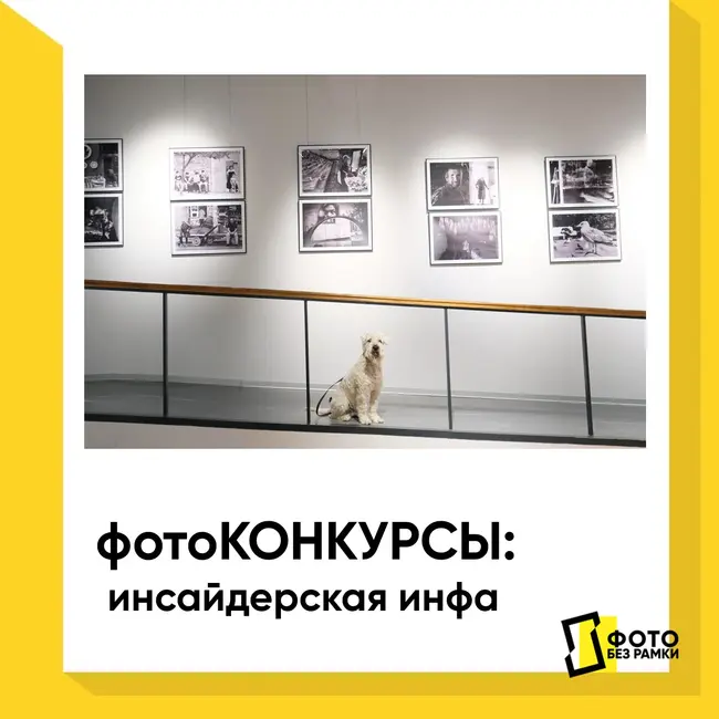 Фотоконкурсы: инсайдерская инфа. Юлия Бегма