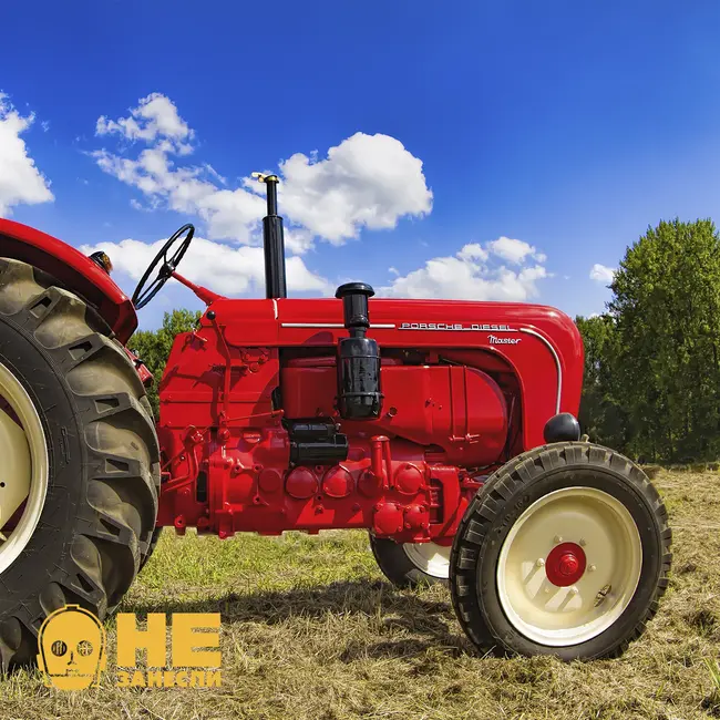 Талачев в Норвегии, Разводилы Таджикистана, Луцай и Узбекистан, Поиск квартиры в Грузии