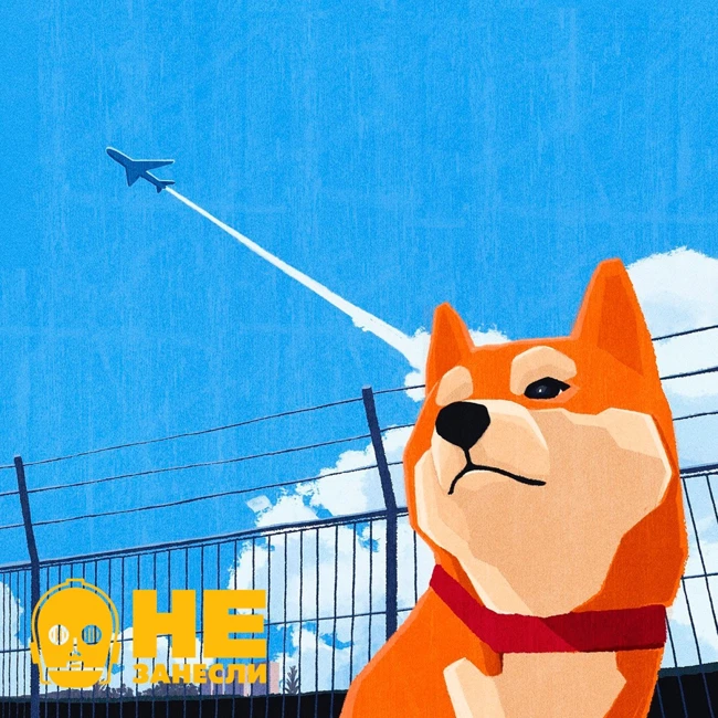 «Не занесли» 120. ✈️ Пороки Амстердама, шпионы Берлина, коричневые ноты Будапешта и ребрышки Вены