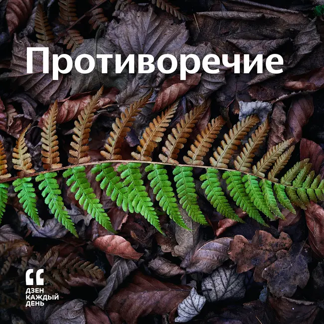 Противоречие