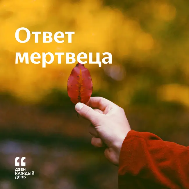 Ответ мертвеца