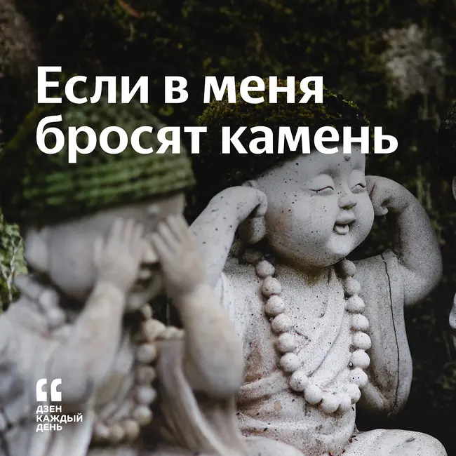 Если в меня бросят камень