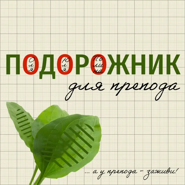 Секреты набора учеников в группу.