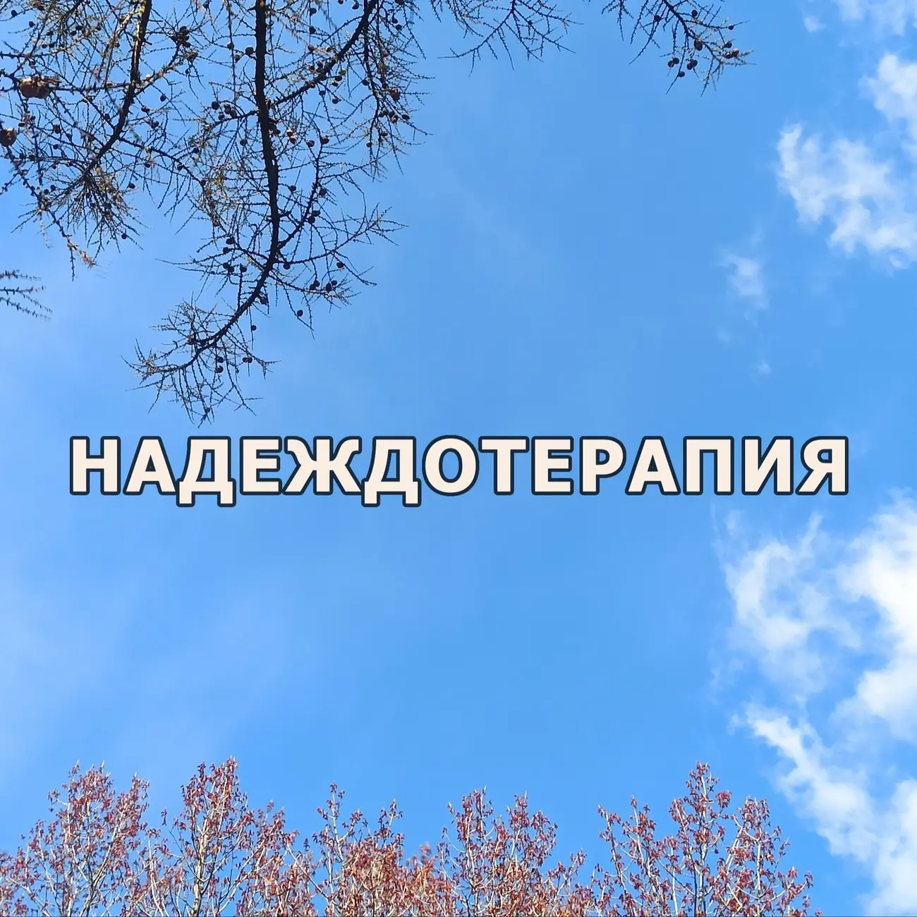 Надеждотерапия