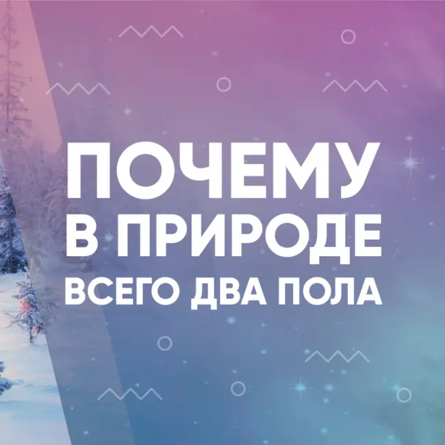Почему в природе всего два пола
