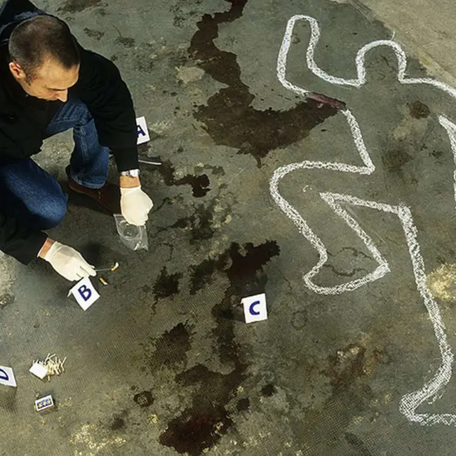 От Австралии до Норвегии находят трупы людей, умерших непонятно отчего, без документов, со срезанными бирками на одежде