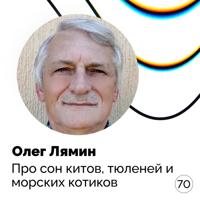 Про сон китов, тюленей и морских котиков — Олег Лямин
