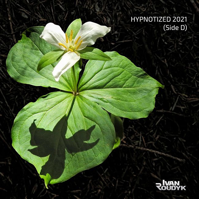 Ivan Roudyk - Hypnotized 2021(Side D)