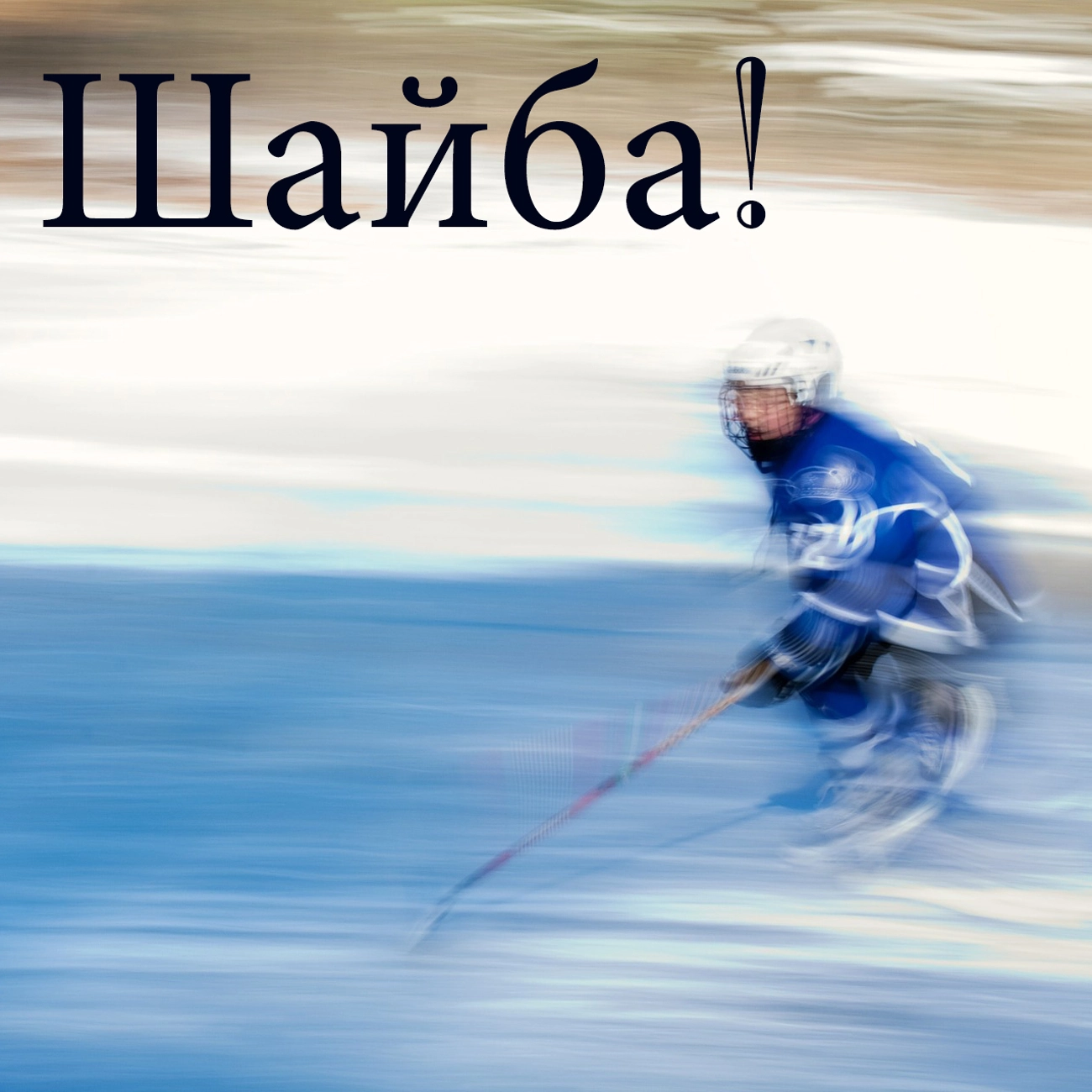 Шайба!