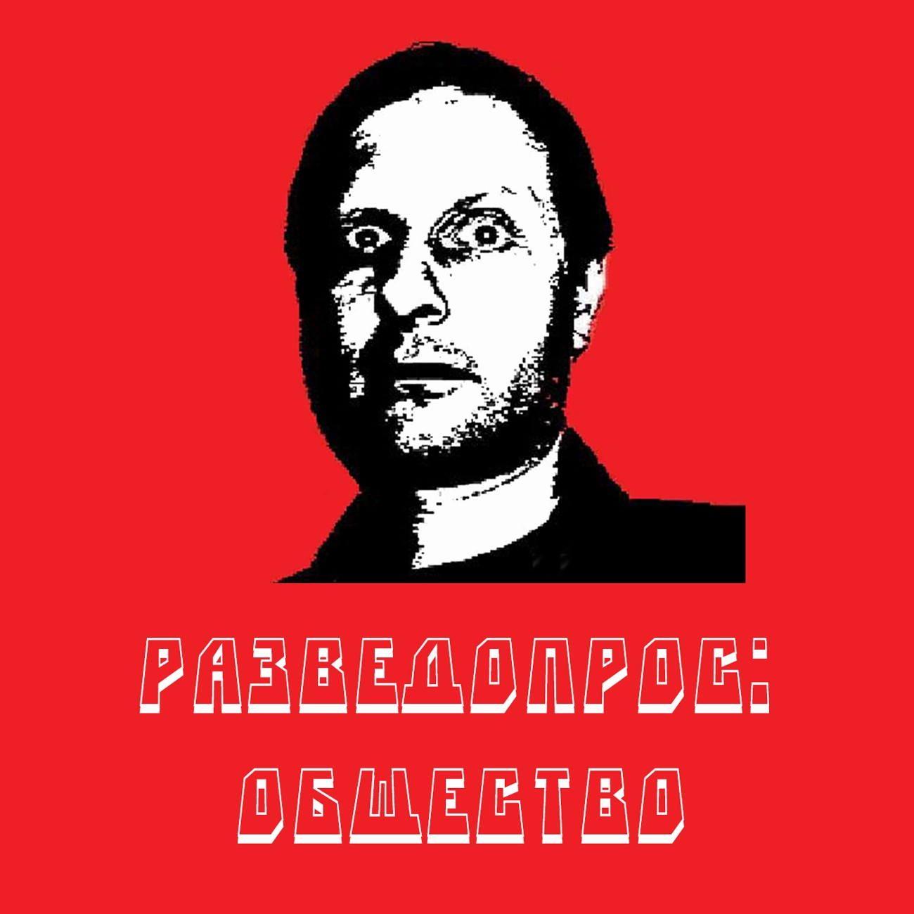 Разведопрос: общество