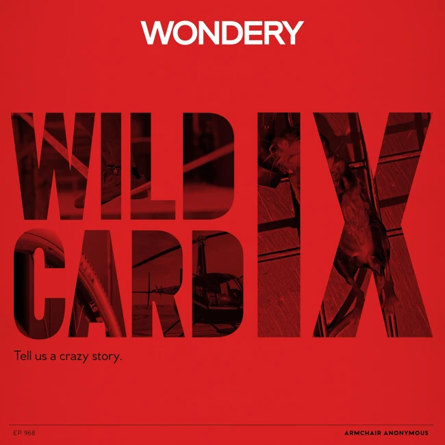 Armchair Anonymous: Wild Card IX