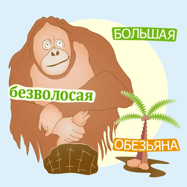 Почему меня никто не понимает?