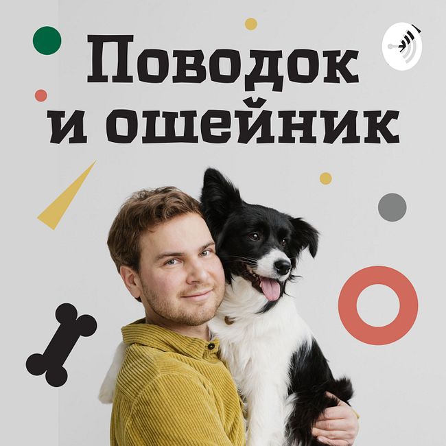 Собаки Павлова