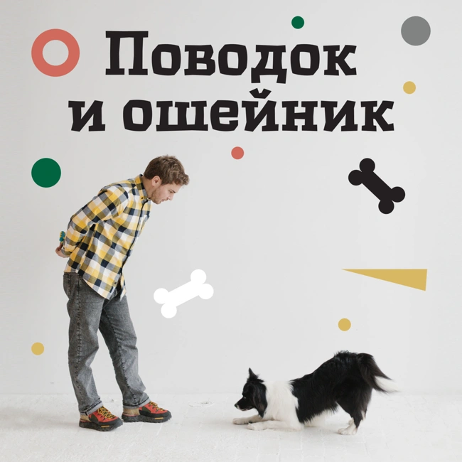 Лайка - космическая собака, потрясшая воображение всего мира.