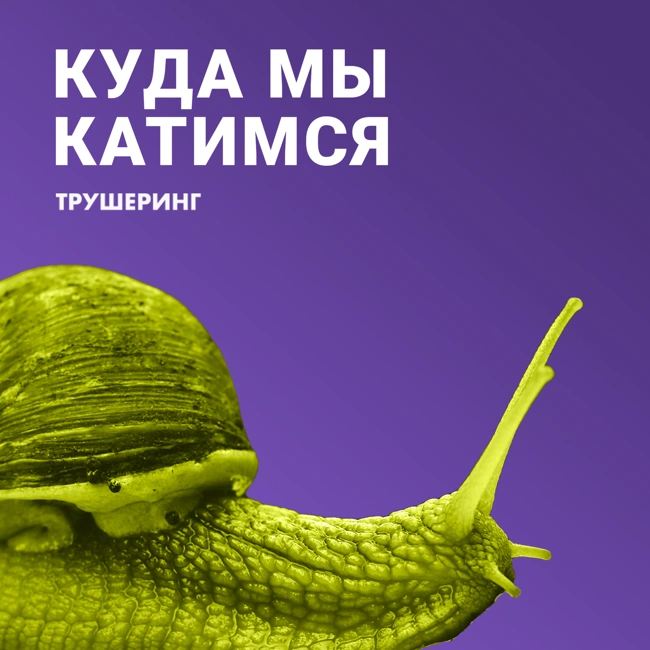 Фейковые аккаунты, безопасность на дороге и роды в каршеринге. Дмитрий Усанов / Ренессанс страхование