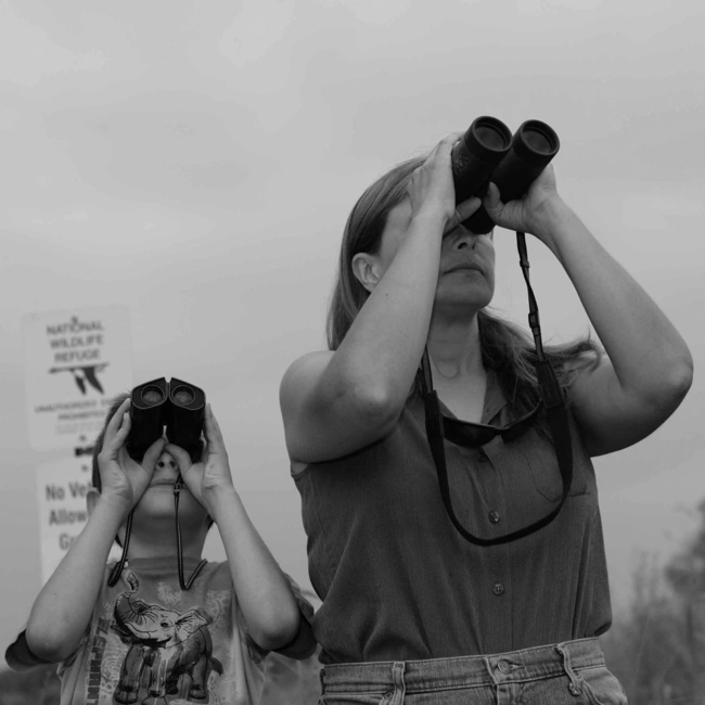 26. Орнитология и birdwatching