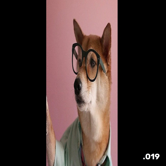 .019 О пластинках и кассетах